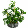Planta Artificial Verde con Maceta Decorativa de Cerámica, 50 cm