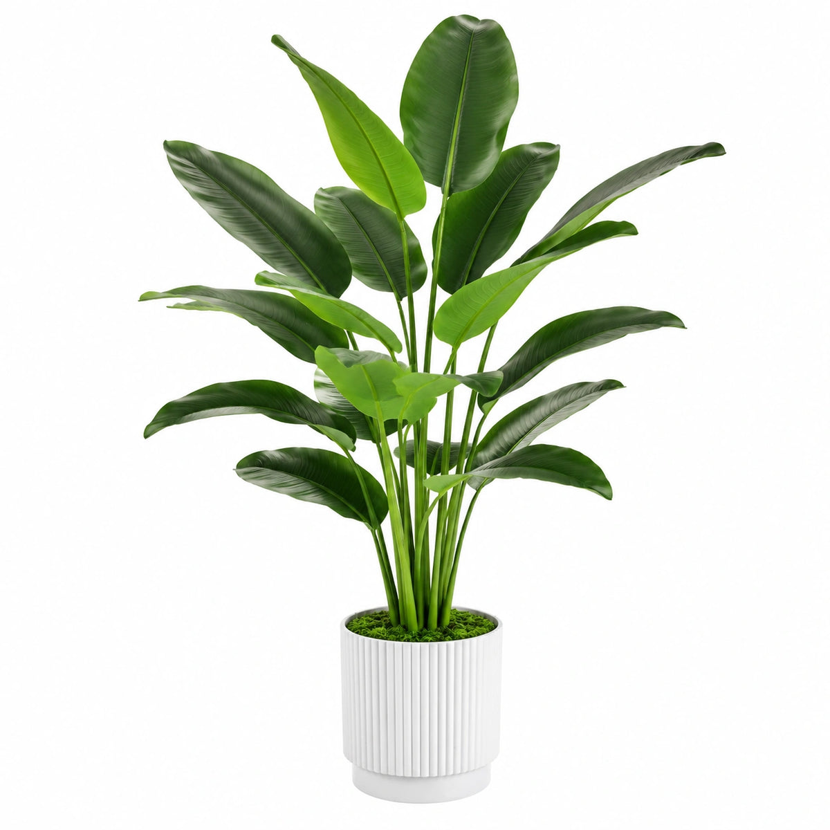 Planta Artificial de Hoja Verde en Maceta Blanca 150cm